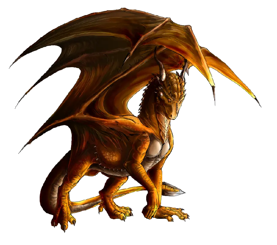 Real Dragon Photo PNG