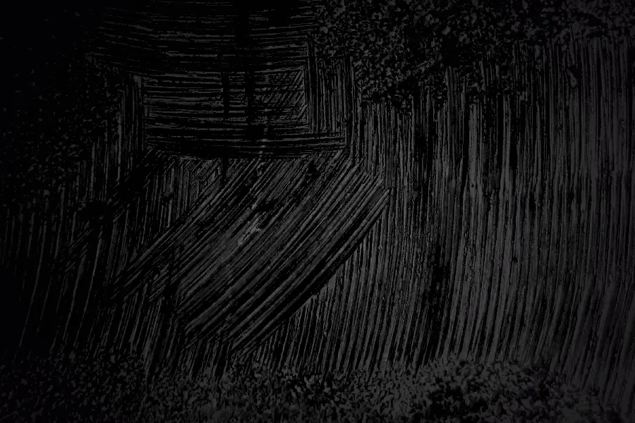 Black photo with pattern