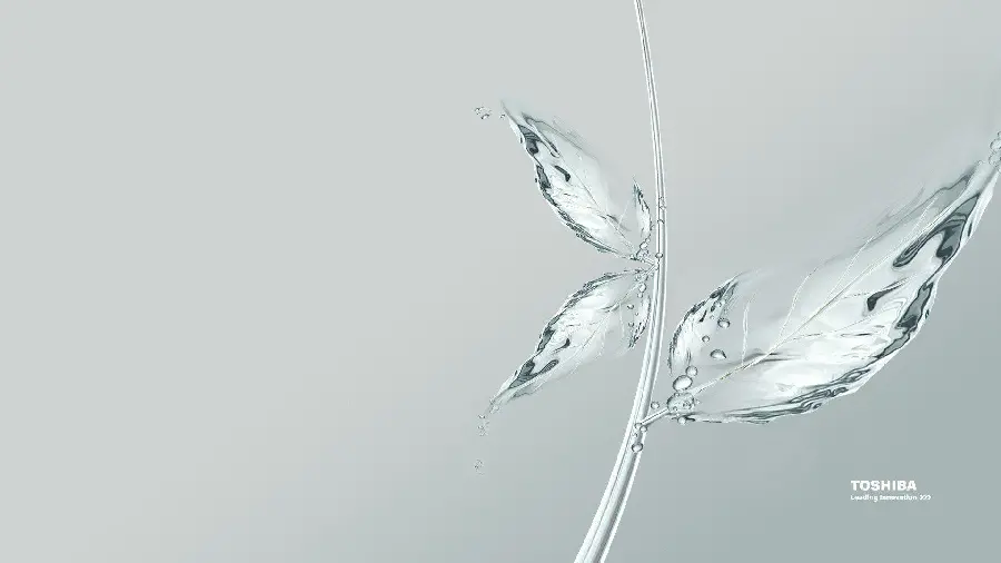 Image of transparent glass flower branch