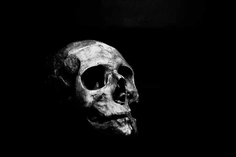Skeleton Black Photo