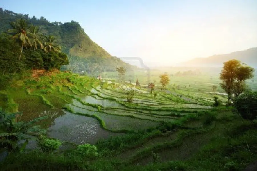 Download Wallpaper Nature Bali Indonesia