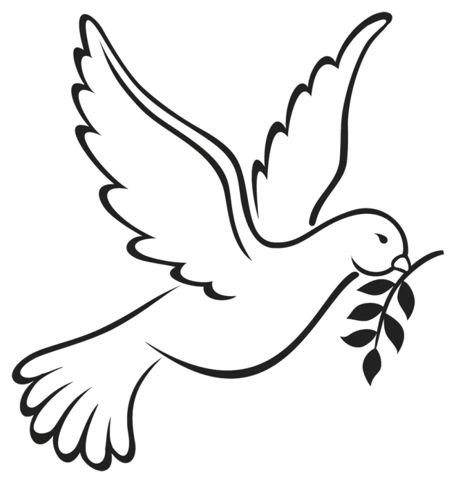 PNG Tattoo Dove with Olive Branch