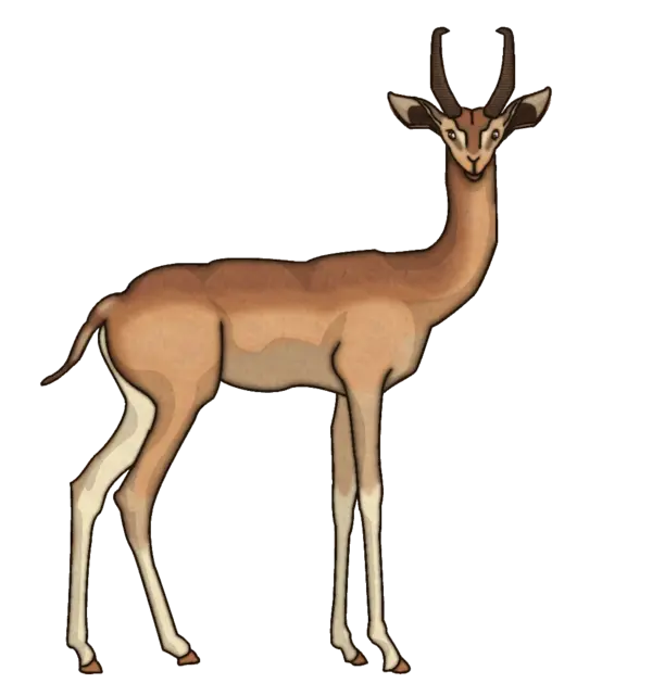 Download high-quality PNG drawing of Ahu or Ghazal