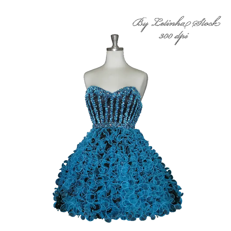 Cropped photo of evening dress for graphic work