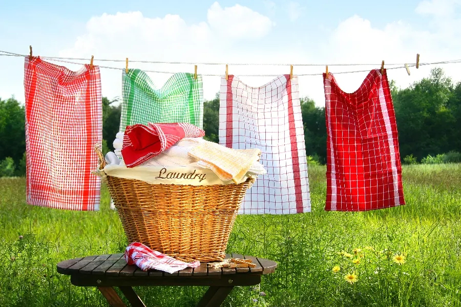Colorful Background Image Photo