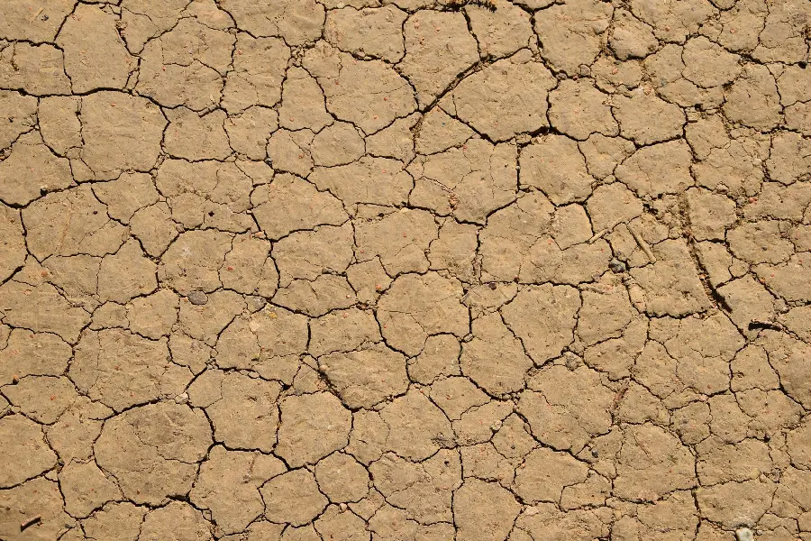 Download cracked soil texture