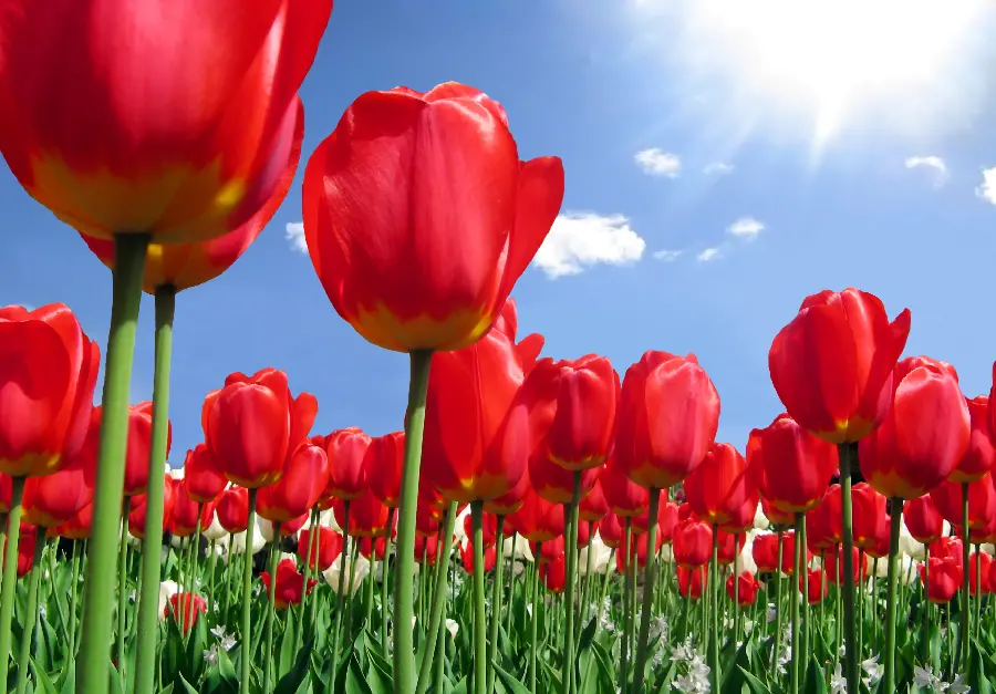 The most beautiful and attractive photos of nature