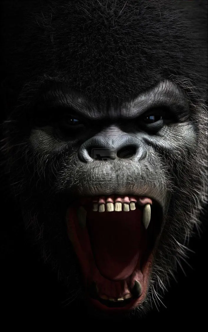 Download wallpaper for computer silverback gorilla