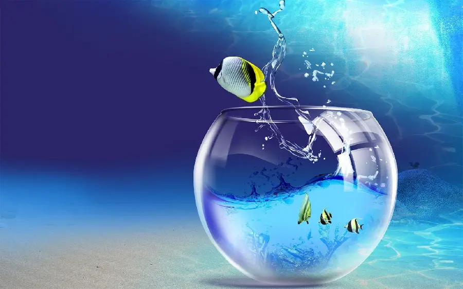 Saltwater Fish and Tank Wallpaper