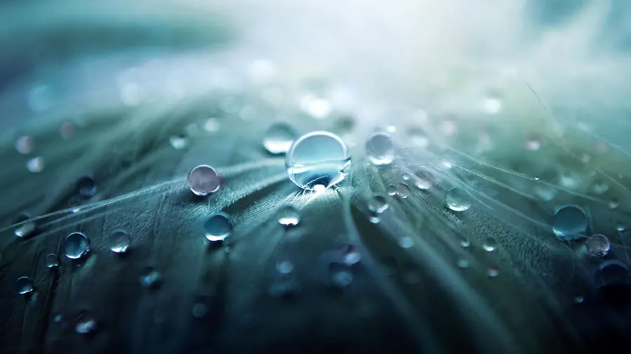 Amazing photo of dew drops On the leaf close up abstract