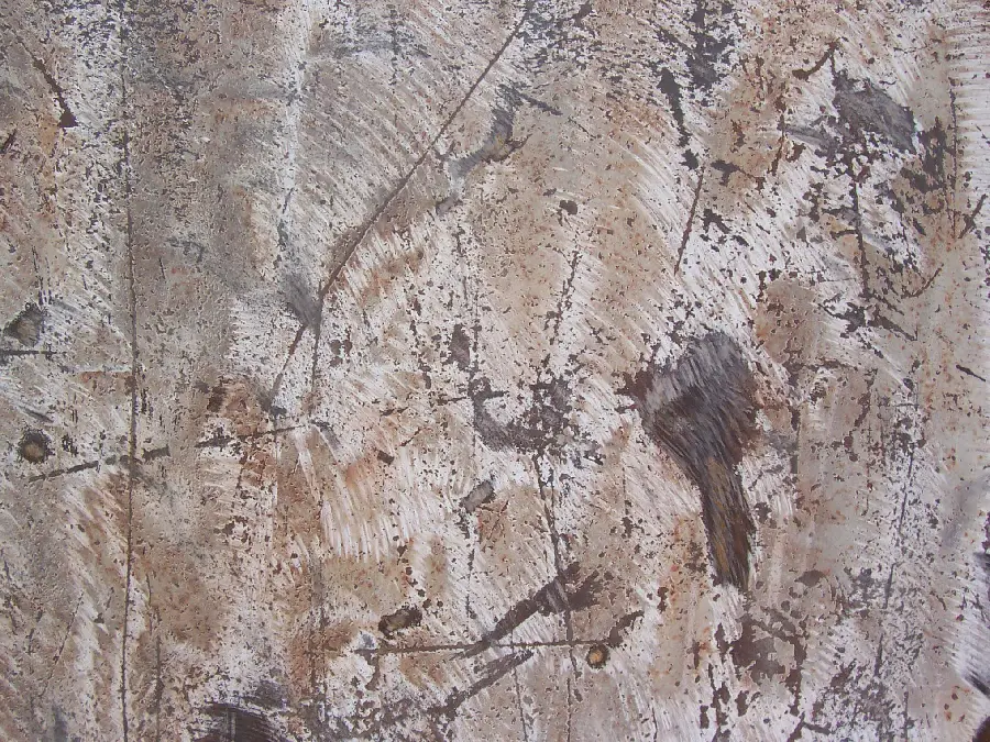 Metals and Rusted Metals