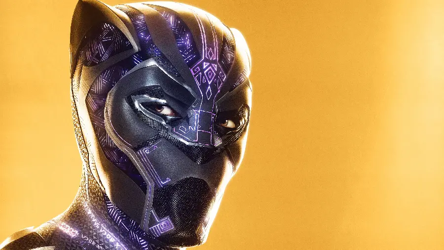 Black Panther King