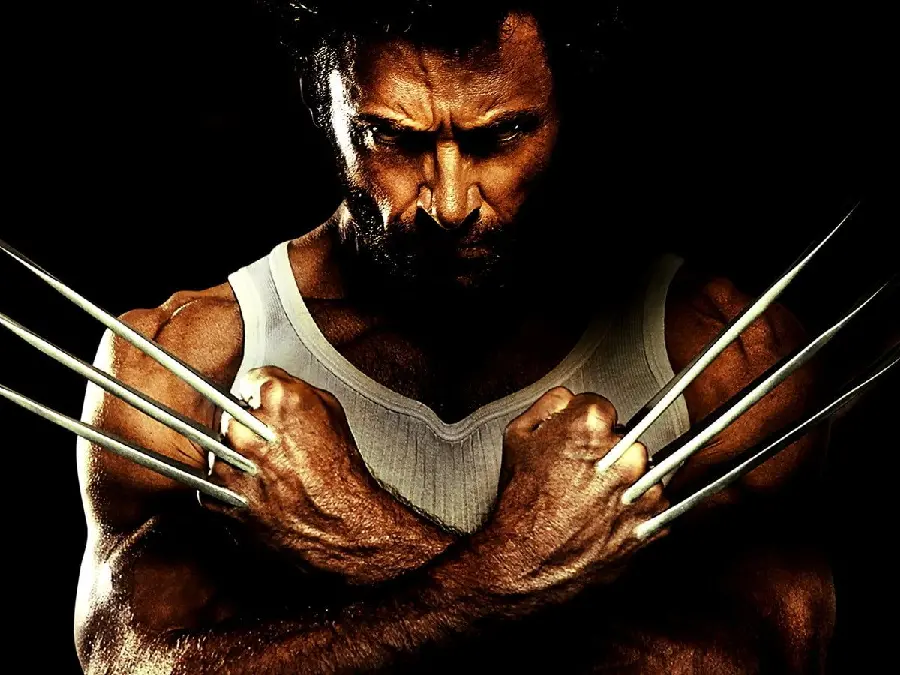 Download The Wolverine Movie Background and Wallpaper