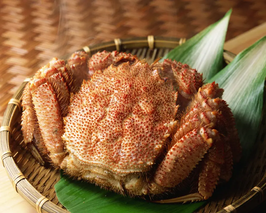 The most luxurious and expensive seafood