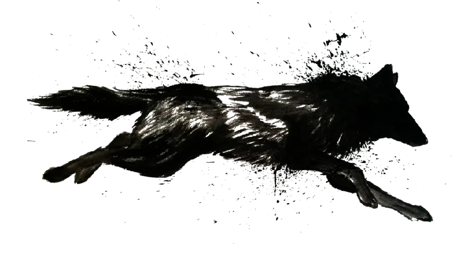 Background with a scary black and white wolf painting design PNG