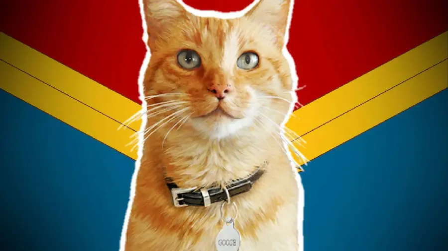 Captain Marvel Goose