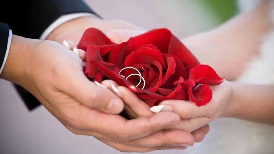 Wedding hands for a photo pose example