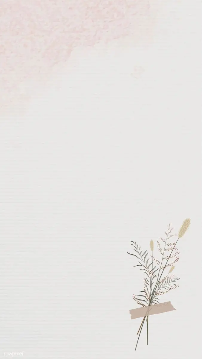 White Background for Photography