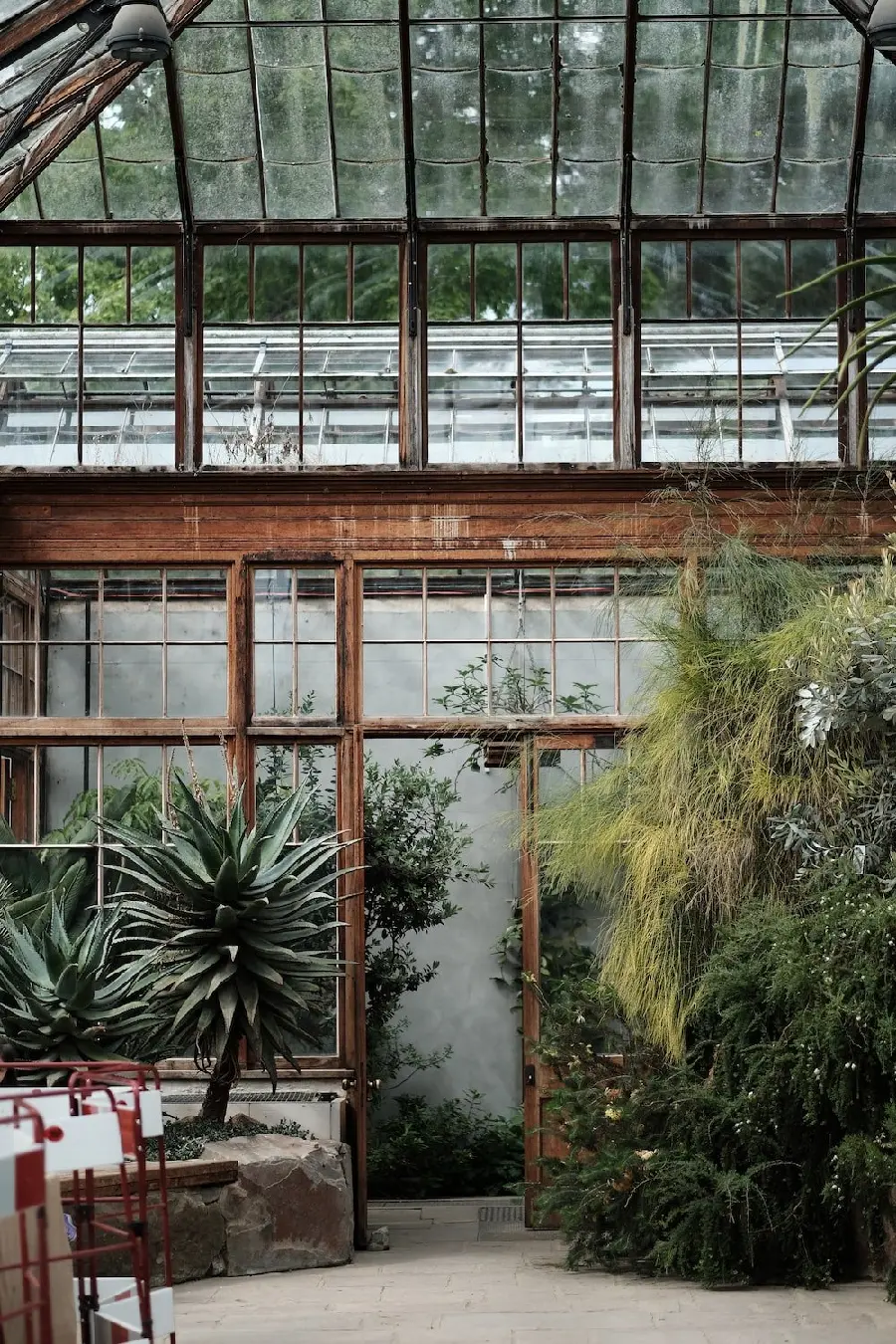 Photo of a small home greenhouse with a glass roof and walls
