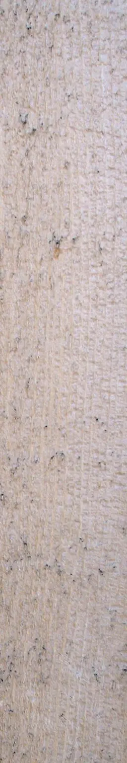 Wooden plank