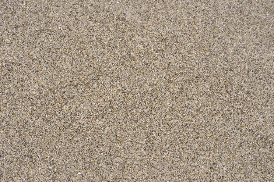 Soil Texture Light Background