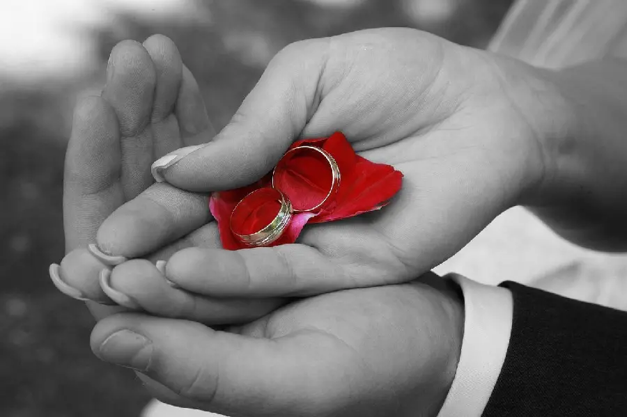 Bride and groom's hand gesture with wedding rings in high quality HD