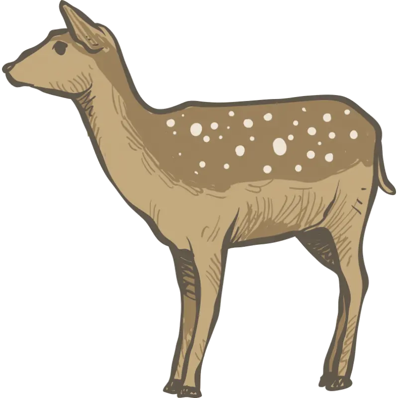 PNG drawing of Ahu or Ghazal