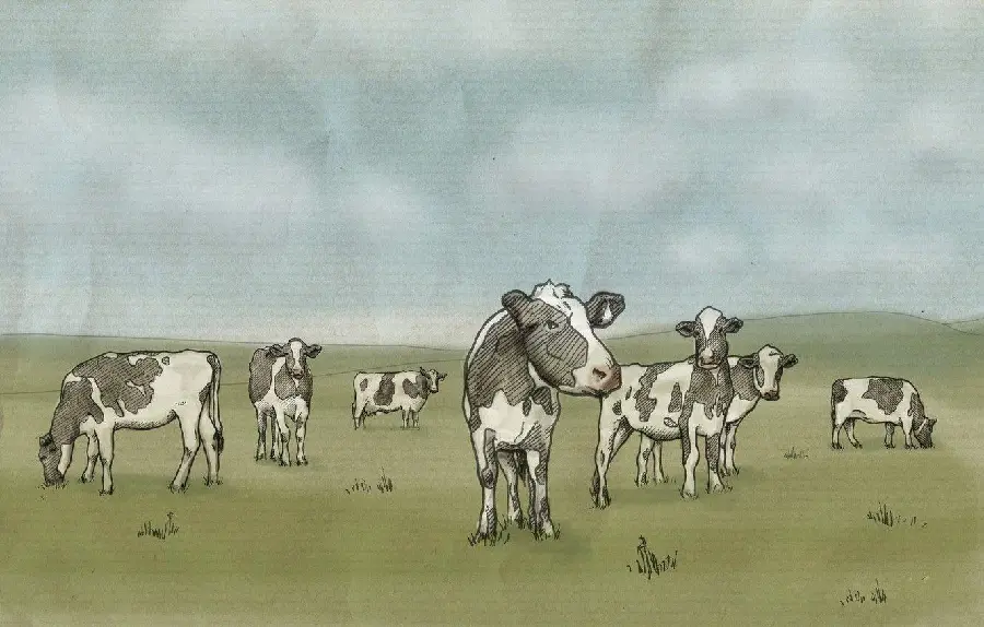 Black and White Dairy Cows Painting