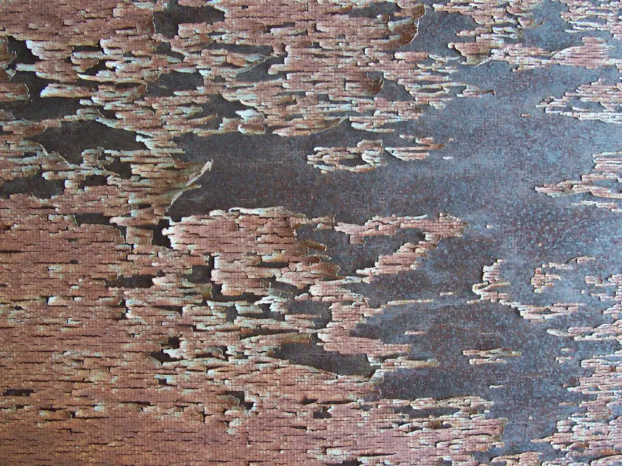 Metals and Rusted Metals Materials
