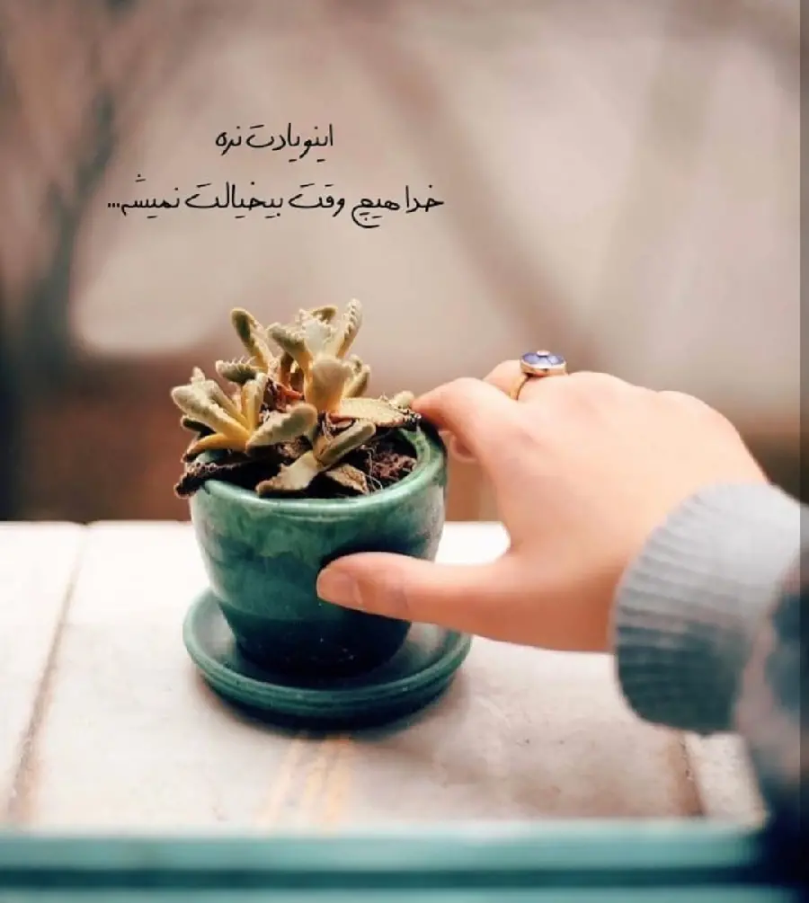Best beautiful profile picture with text
