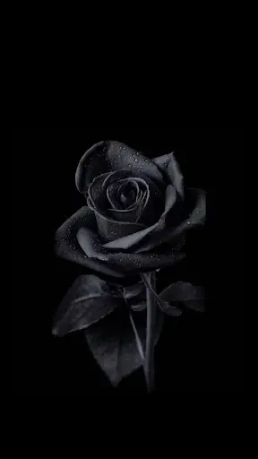 Black Wallpaper 4k