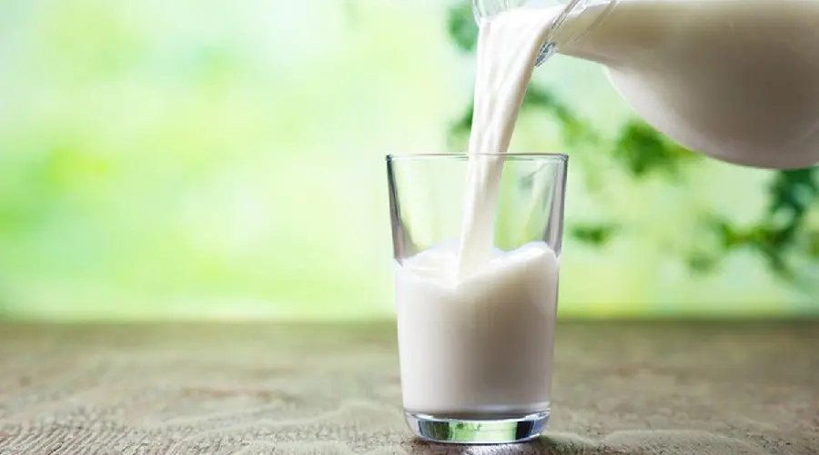 Photo of a pitcher and glass of natural full-fat white milk