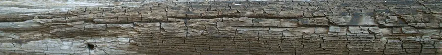 Download High Quality Photo Rotten Wood Timber