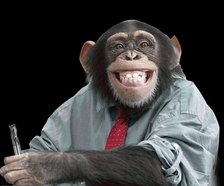 Smiling Chimpanzee Photo Without Background Free Download