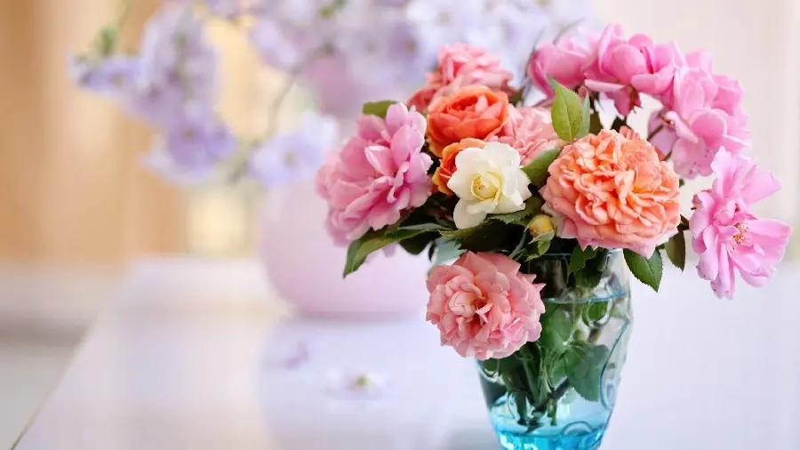 Spring flower vase photo hd quality