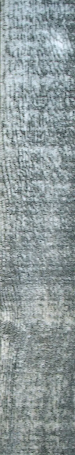 Wood plank