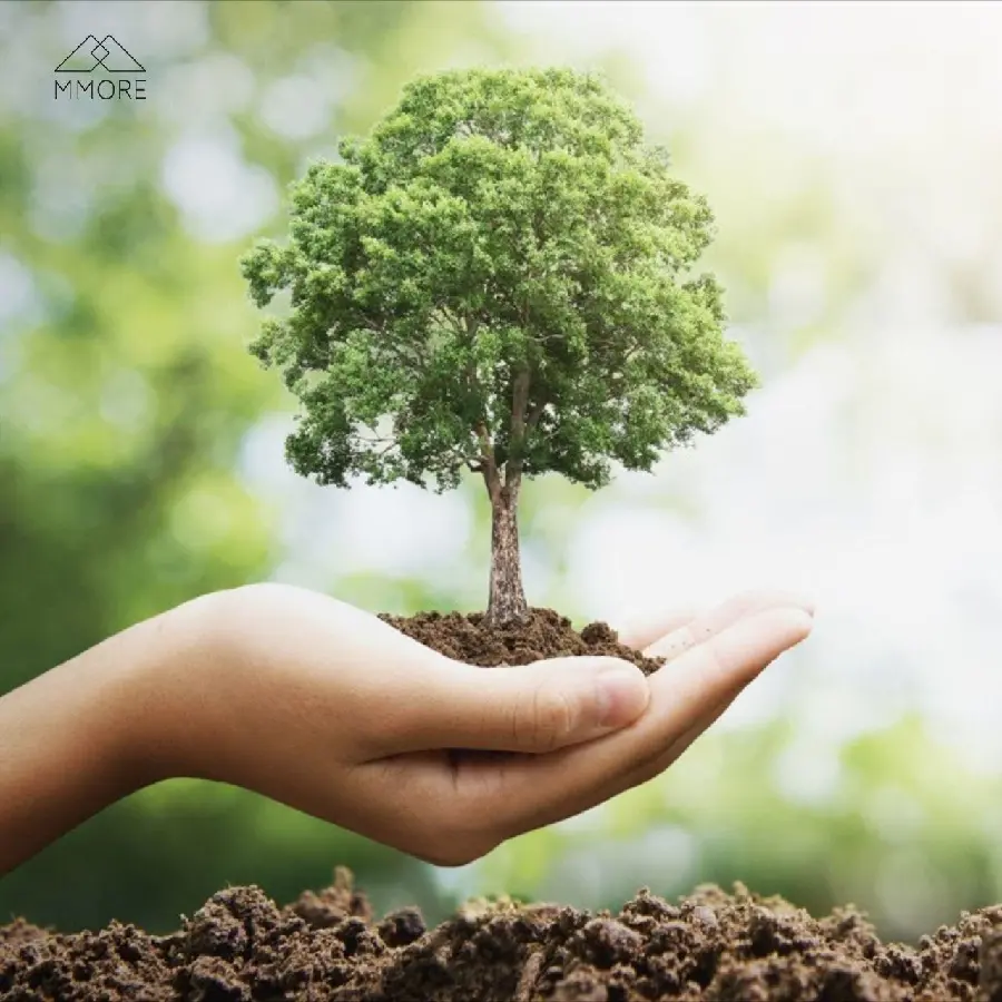 Photo of a sapling in hand for a tree planting profile