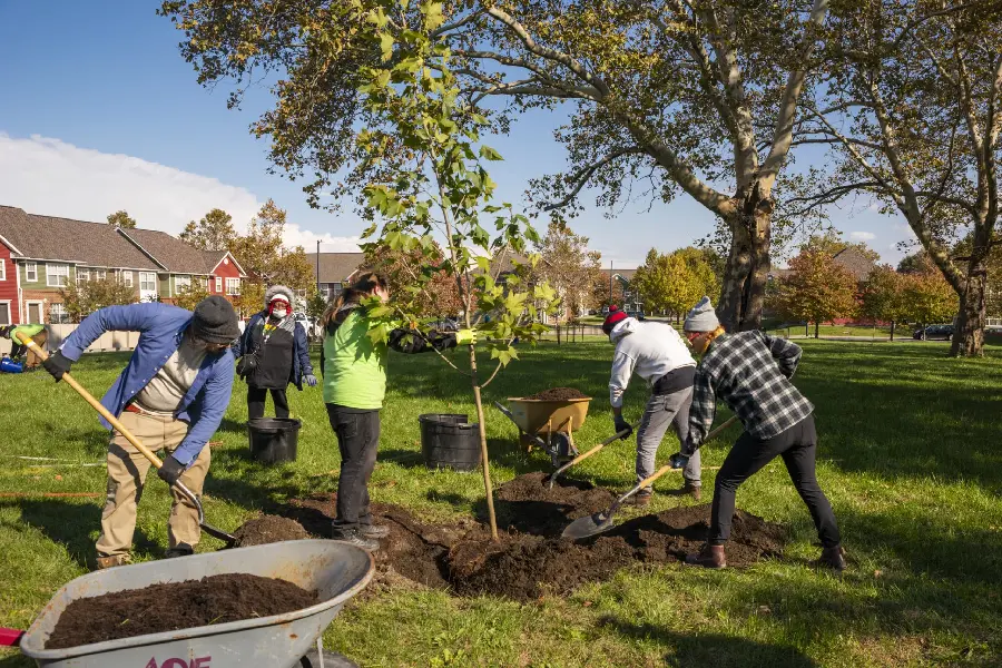 Stock Photo of People Planting Trees on Arbor Day