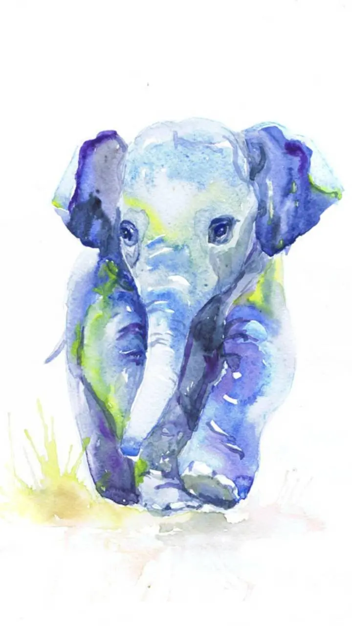 High quality and free baby elephant painting