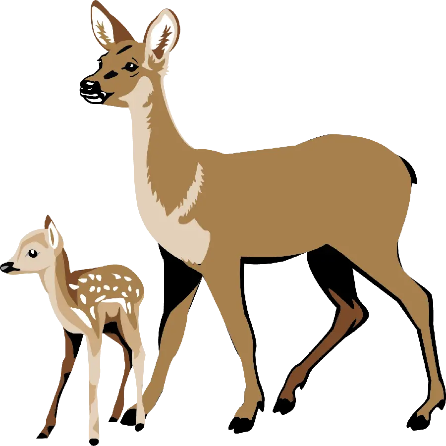 Aho mother and child drawing without background