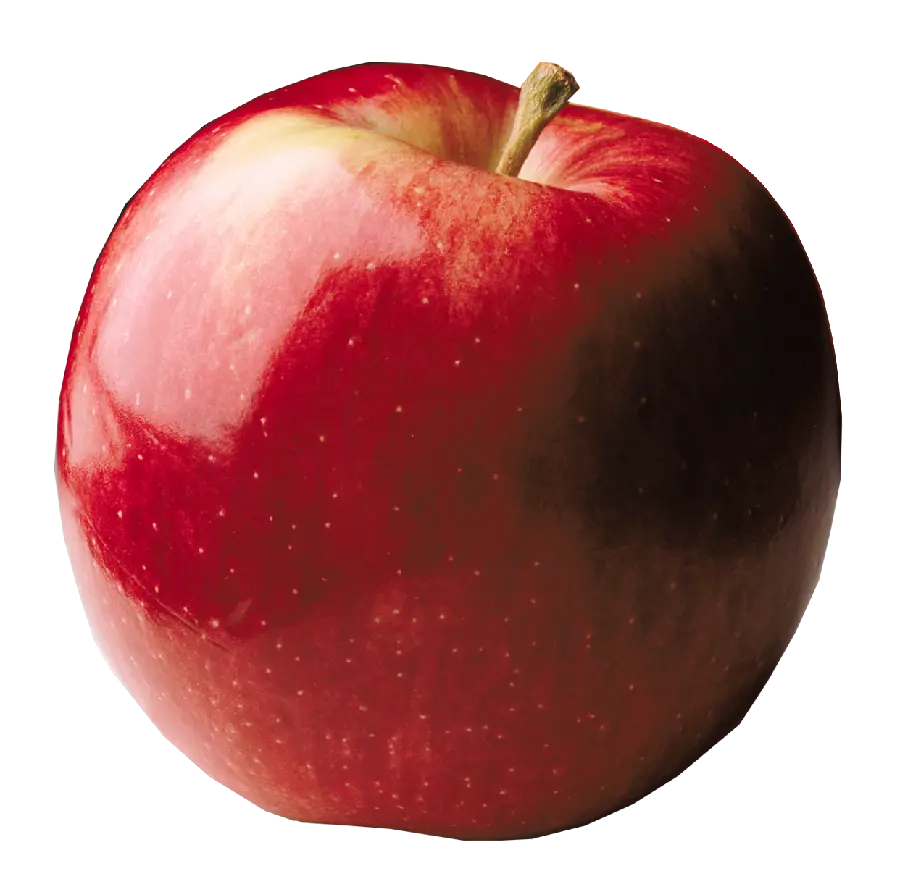 Round and Circular Apple PNG Image