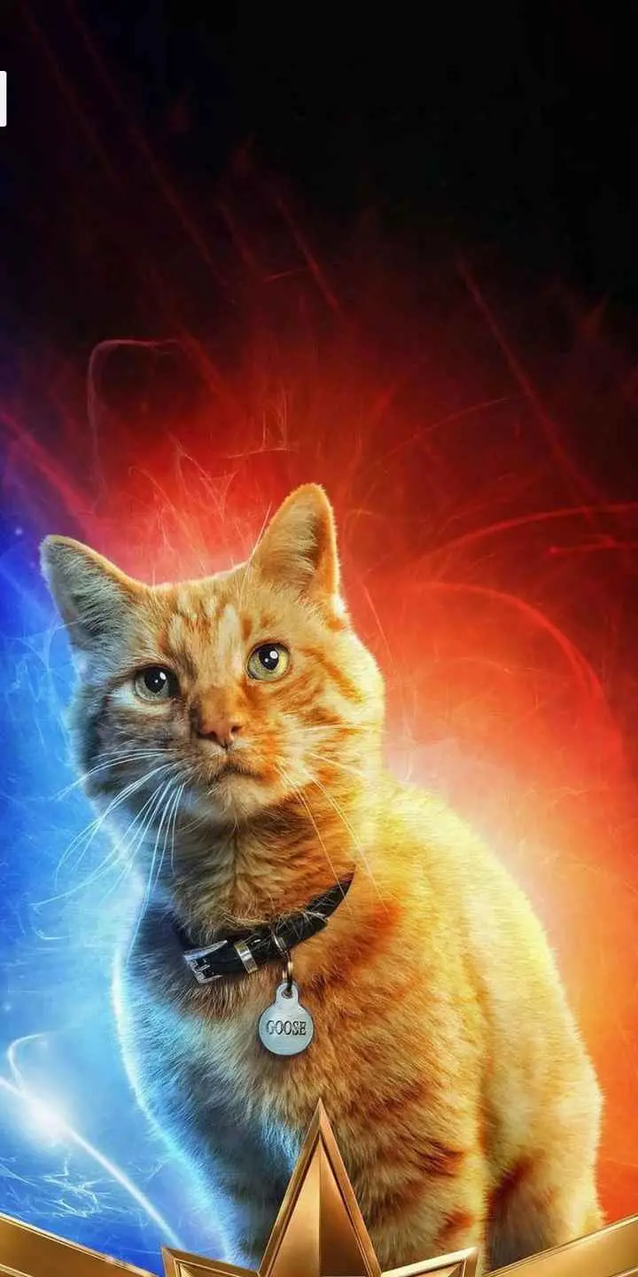 Captain Marvel Goose