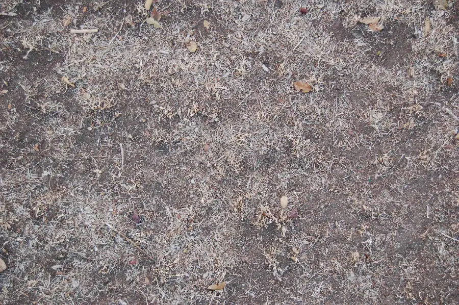 Earth material and natural features