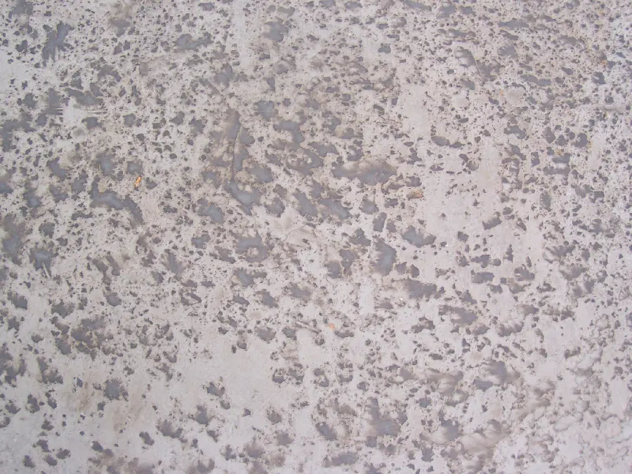 Download cement and concrete material texture photo