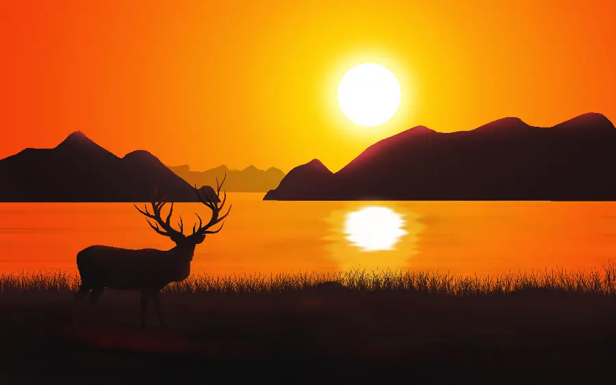 Sunset Wallpaper By the lake and antlers
