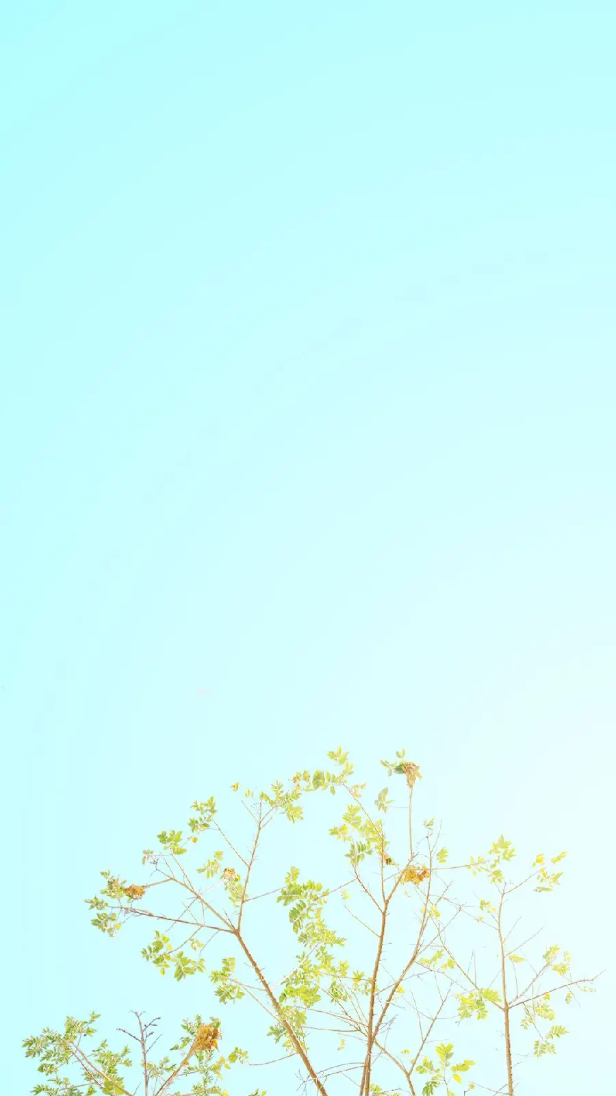 Spring Pastel