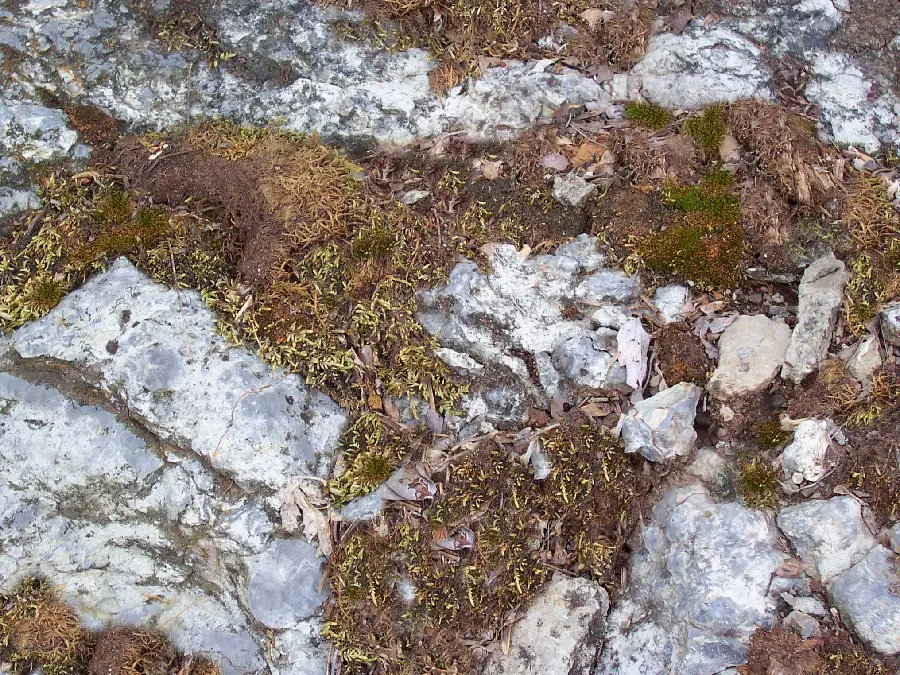 Download images of materials of the earth and natural features