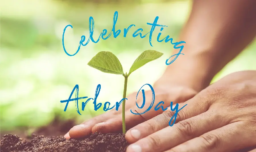 Arbor Day Wallpaper and Background for Computer