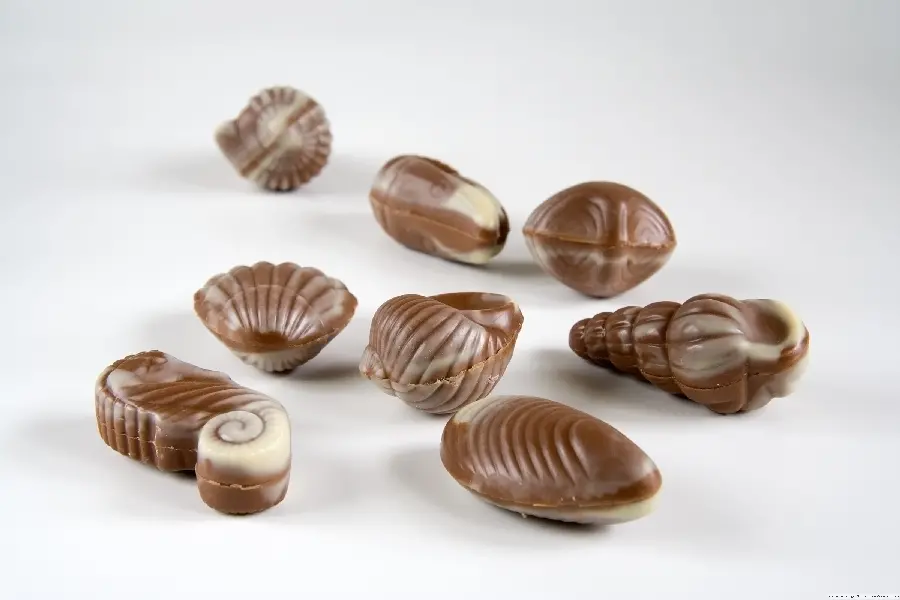 High quality photo of chocolate and cocoa