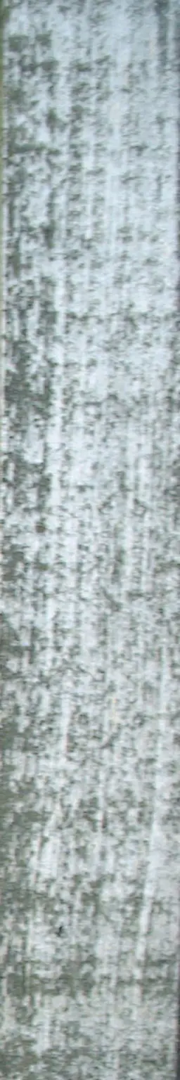 Wood plank